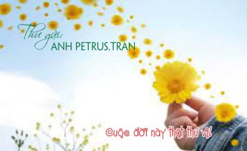 Thư gửi anh Petrus.tran