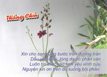 Tháng Chín -2021