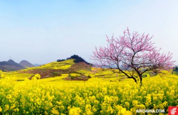 Quê ngoại Yêu Dấu – NVMN