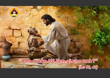 Lời Chúa THỨ HAI TUẦN 33 THƯỜNG NIÊN