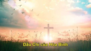 Dấu Chỉ của Hòa Bình