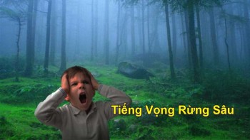 Tiếng Vọng Rừng Sâu