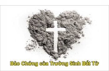 Bảo Chứng của Trường Sinh Bất Tử