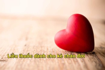 Liều thuốc dành cho kẻ chán đời