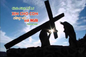 Xin cho con cùng vác với Ngài…