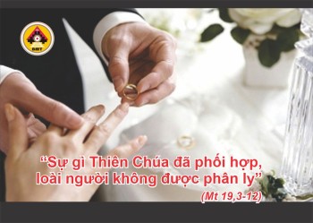 Lời Chúa THỨ SÁU TUẦN 19 THƯỜNG NIÊN