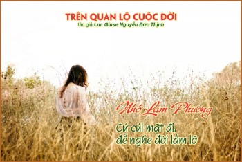 Cứ cúi mặt đi, để nghe đời lầm lỡ