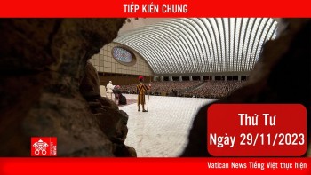 Trực tiếp Tiếp kiến chung ngày 29/11/2023