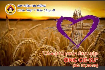 Suy niệm Tin Mừng Chúa Nhật V Mùa Chay -B