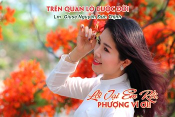 Lỗi Tại Em Rồi, Phượng Vĩ Ơi!