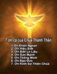 Hiến Thánh trong Sự Thật