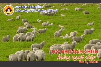 Suy niệm Tin Mừng Chúa nhật 16 Thường niên -B