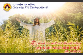 SNTM Chúa nhật XVI Thường niên -Năm B