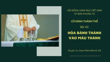 CHTT: Bài 42 - Hòa Bánh Thánh vào Máu Thánh