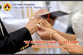 Suy niệm Tin Mừng Chúa nhật XXVII TNb