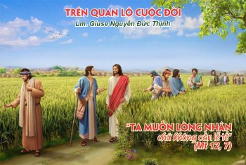 “Ta muốn lòng nhân chứ không cần lễ tế”