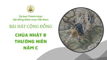 Bài hát cộng đồng Chúa nhật 8 Thường Niên -C