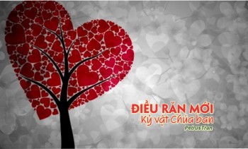 Điều răn mới - Kỷ vật Chúa ban…