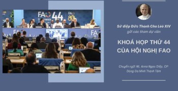 Sứ Điệp ĐTC gửi Hội nghị FAO