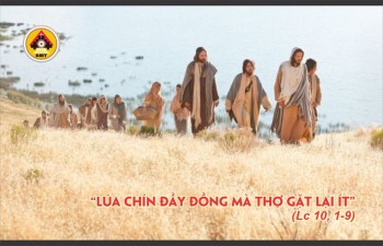 Lời Chúa CHÚA NHẬT XIV THƯỜNG NIÊN -C