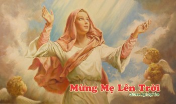 Bài giảng Lễ Đức Mẹ Lên Trời