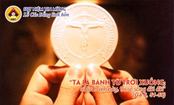 SNTM CN31TNC - Lễ Các Đẳng linh hồn