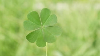 Ta không phải là trung tâm