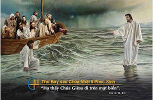 Giữa đời biển động