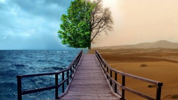 Tội lỗi và ân sủng