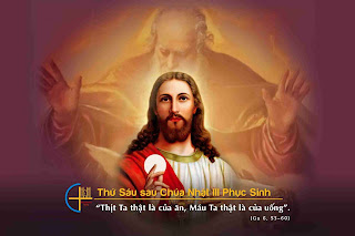 Ta đang sống hay chỉ cố tồn tại?