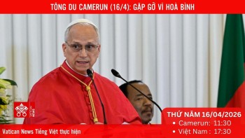 [Trực tiếp] Tông du Camerun (16/4)