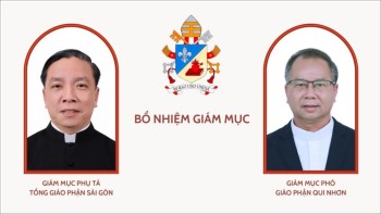 Bổ nhiệm Giám mục cho Giáo hội Việt Nam