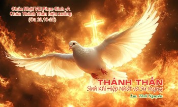 Thánh Thần -Sinh Khí Hiệp Nhất và Sứ Mạng