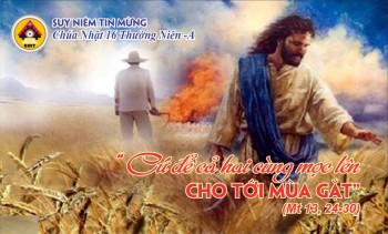 SNTM Chúa Nhật XVI Thường Niên -Năm A