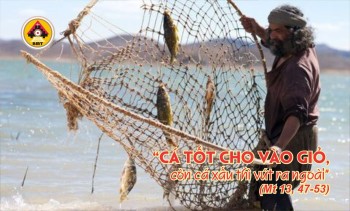 Lời Chúa THỨ NĂM TUẦN 17 THƯỜNG NIÊN
