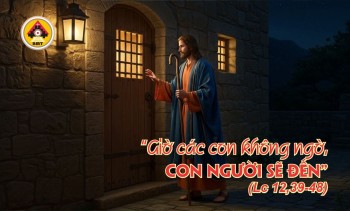 Lời Chúa THỨ TƯ TUẦN 29 THƯỜNG NIÊN