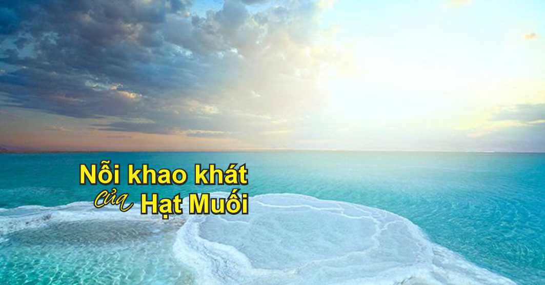 Nỗi Khao Khát Của Hạt Muối