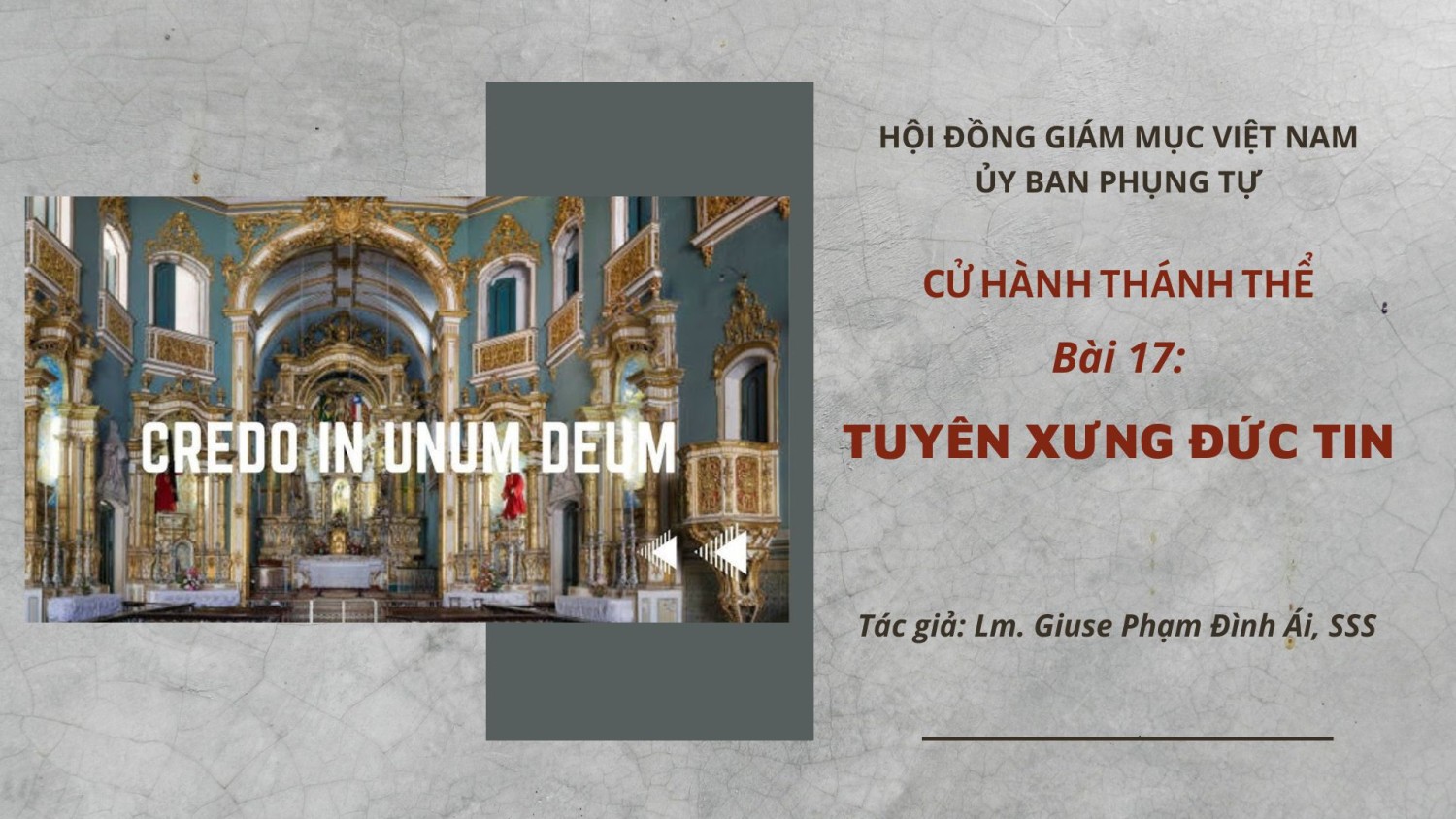 Cử hành Thánh Thể: Bài 17 -Tuyên xưng đức tin