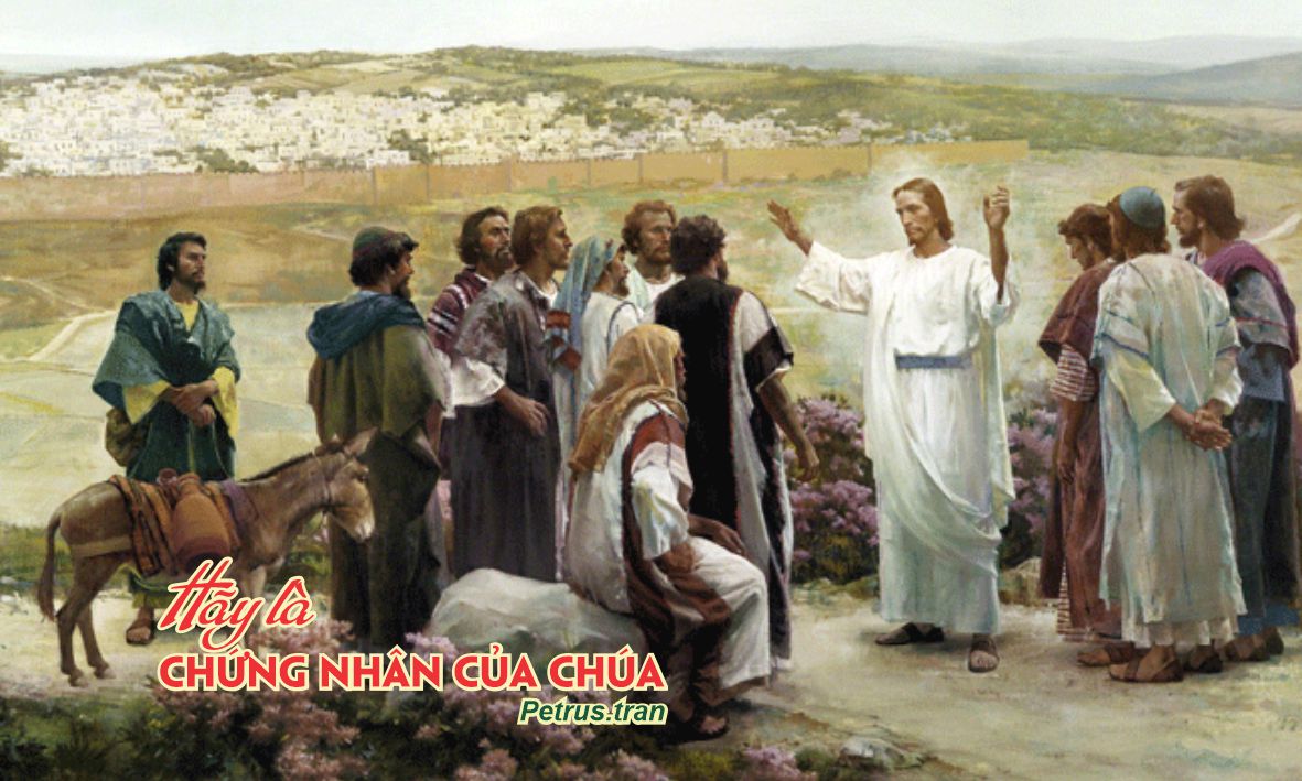 Hãy là chứng nhân của Chúa