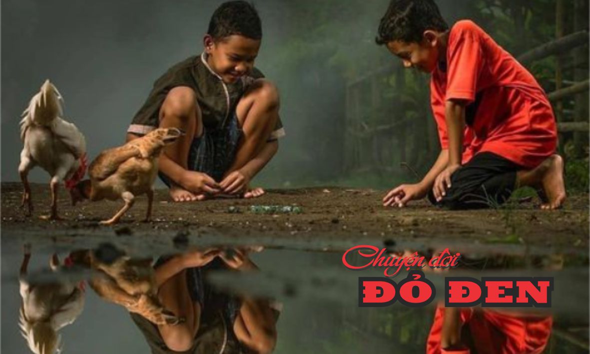 chuyen do den 20