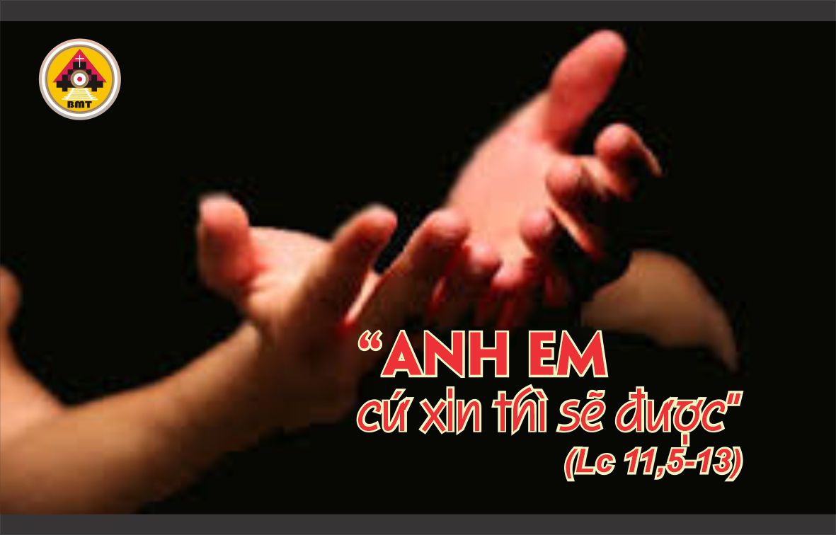t5 t27 TN