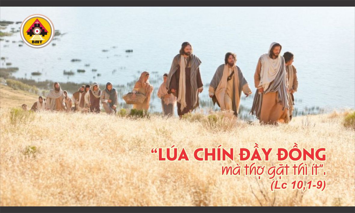 Thánh Timôthêo Titô