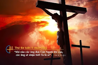 Chọn lựa: Chết trong tội – Sống trong ân sủng