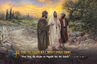 Người đến như một người xa lạ