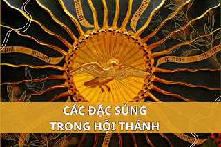 Đặc sủng trong Đoàn sủng - Ân ban của CTT